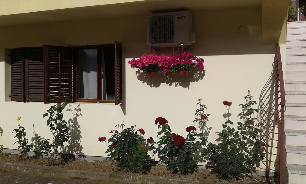 Apartment Adela Kotor Exteriör bild