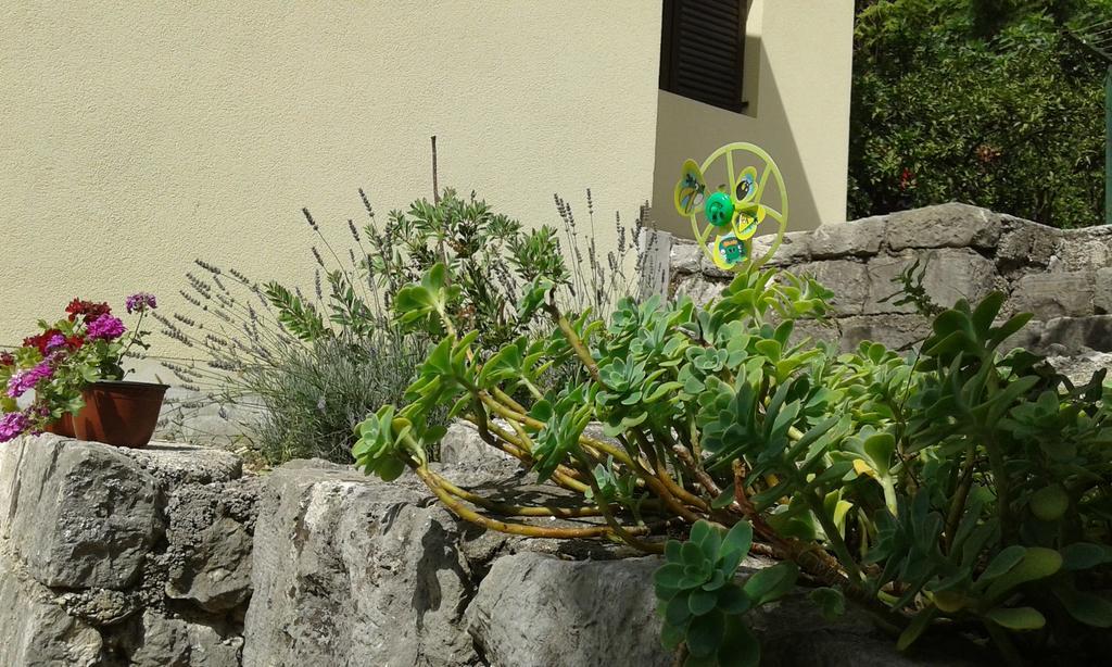 Apartment Adela Kotor Exteriör bild