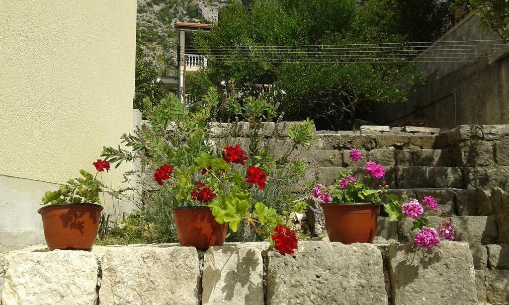 Apartment Adela Kotor Exteriör bild